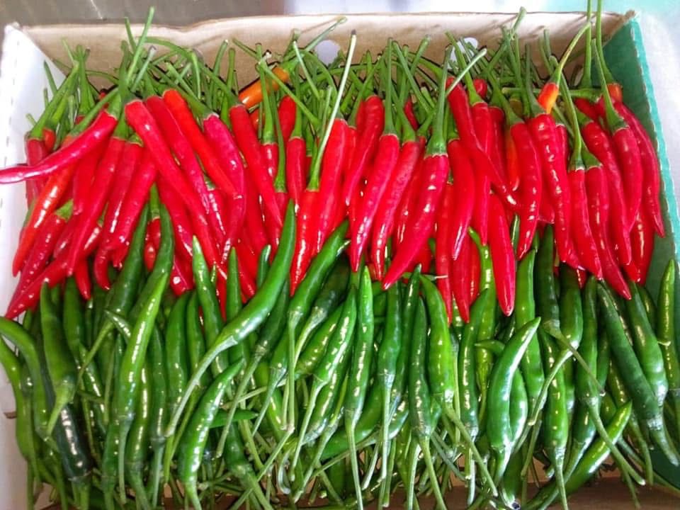 Chillies
