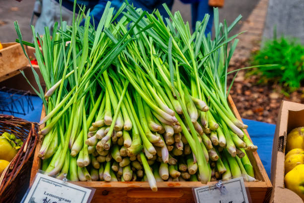 Lemon grass