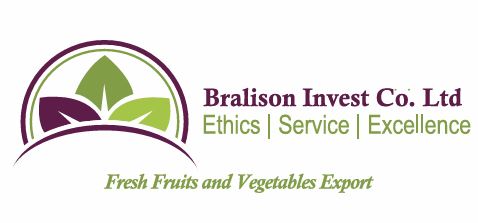 Bralison EPZ Logo