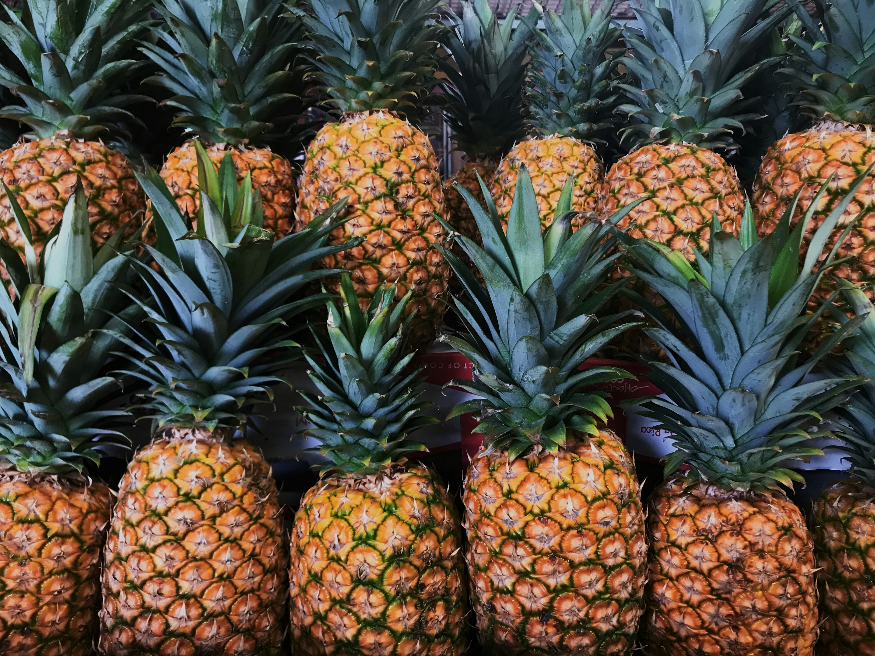 PINEAPPLES
