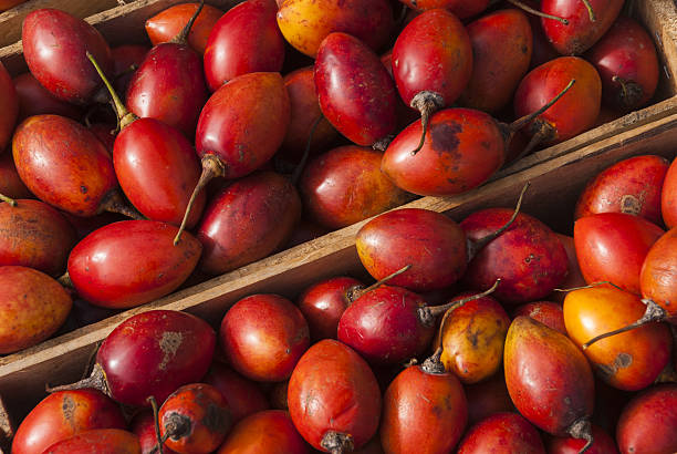 Tamarillo