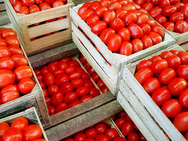Tomatoes